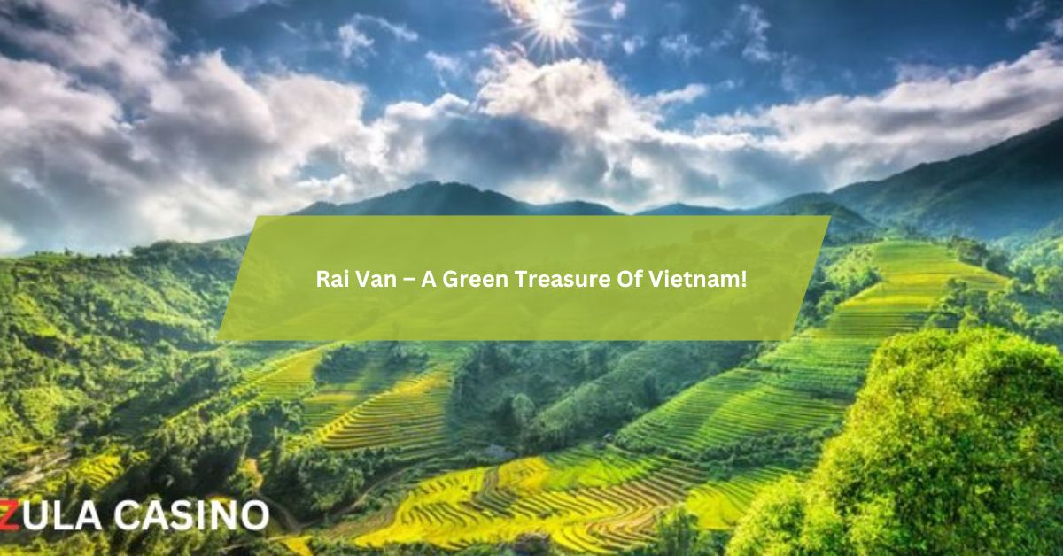 Rai Van – A Green Treasure Of Vietnam!